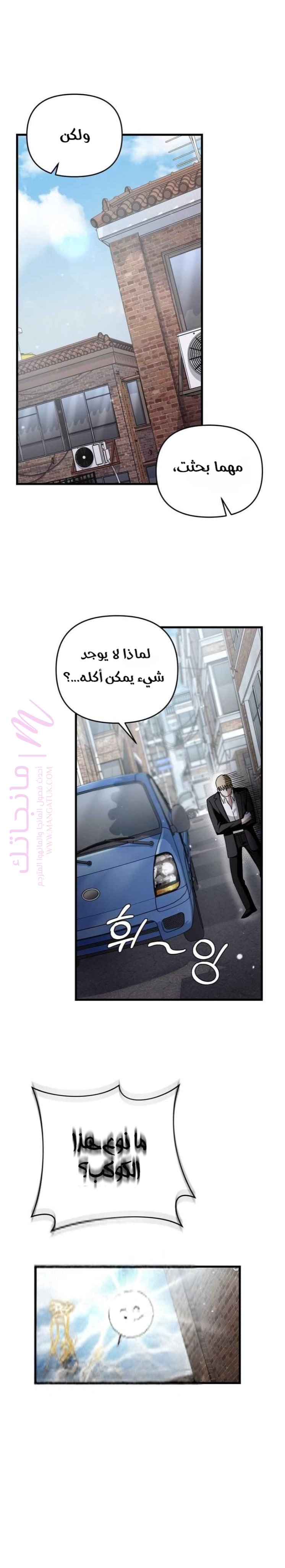 الصفحة 21