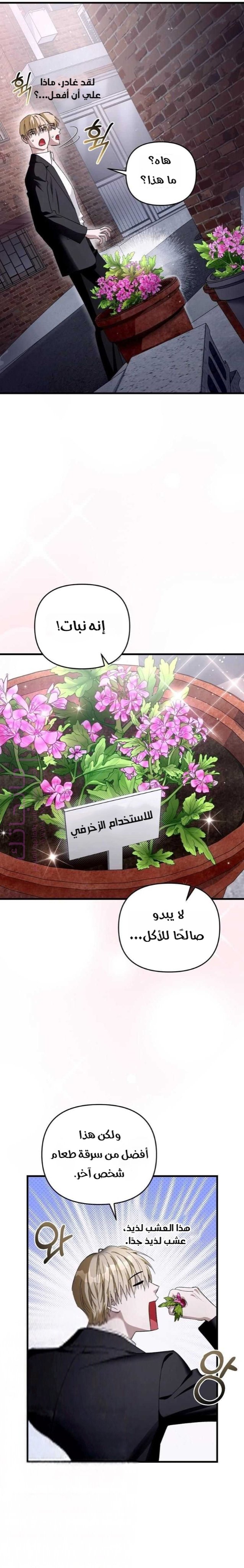 الصفحة 23