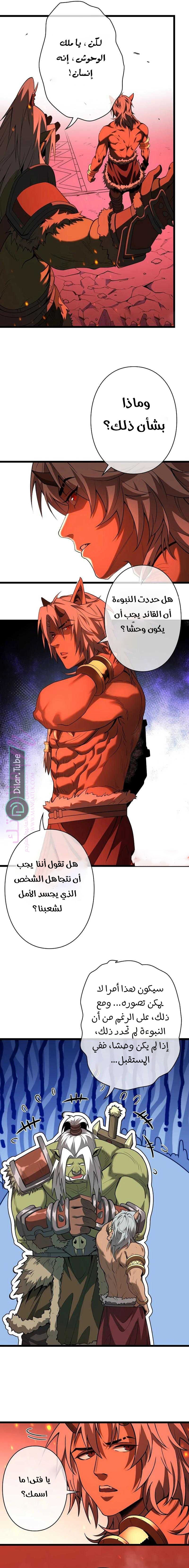 الصفحة 17