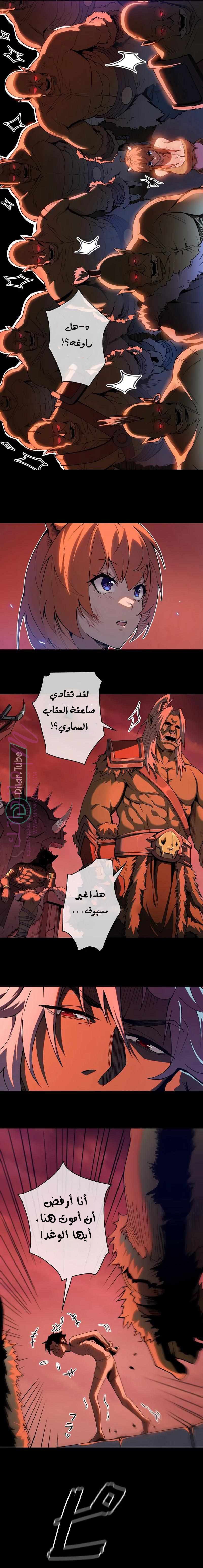 الصفحة 17