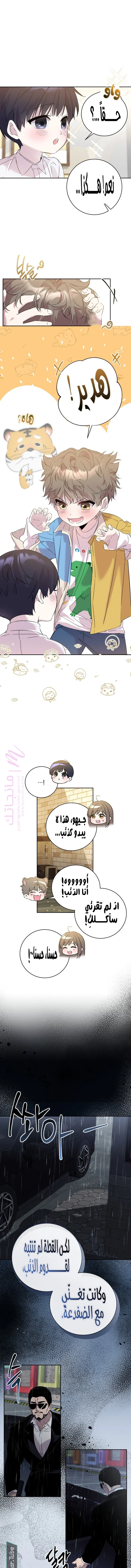 الصفحة 15