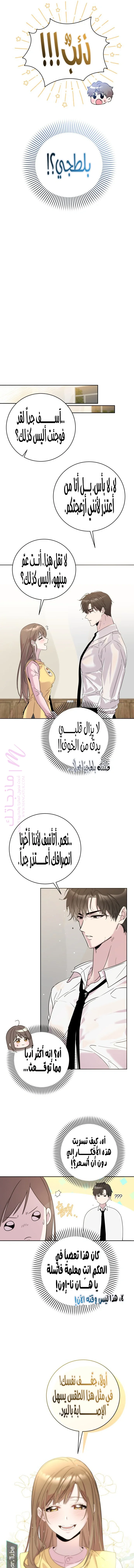 الصفحة 17