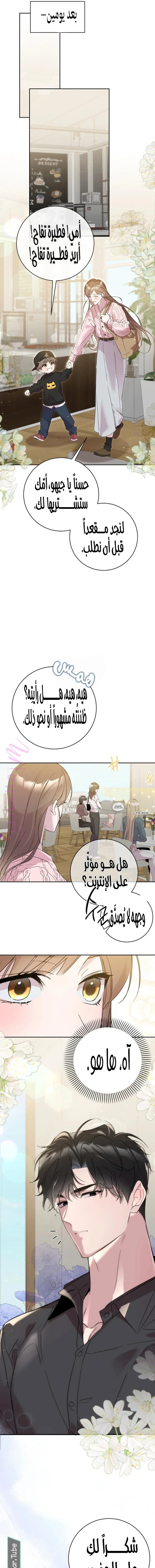 الصفحة 11