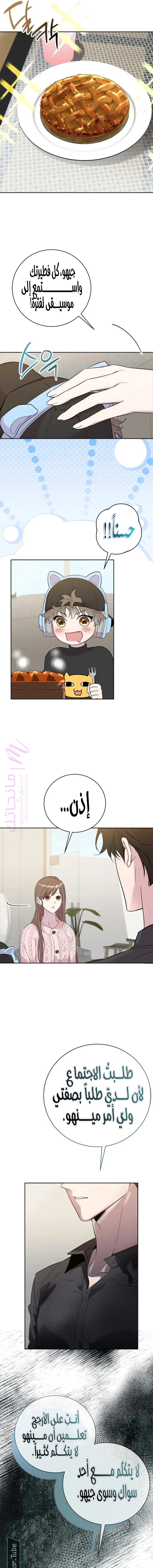 الصفحة 13