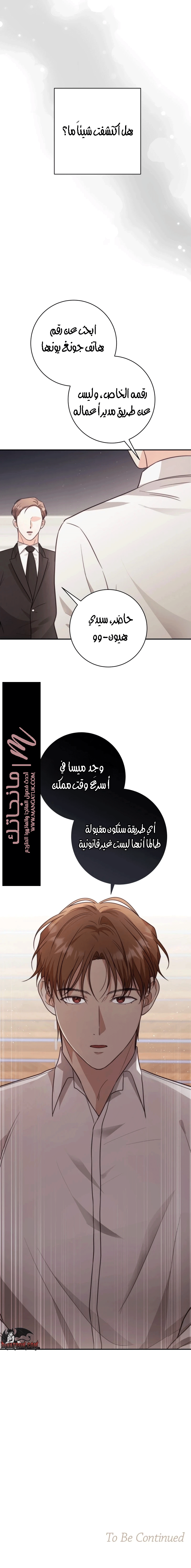 الصفحة 19