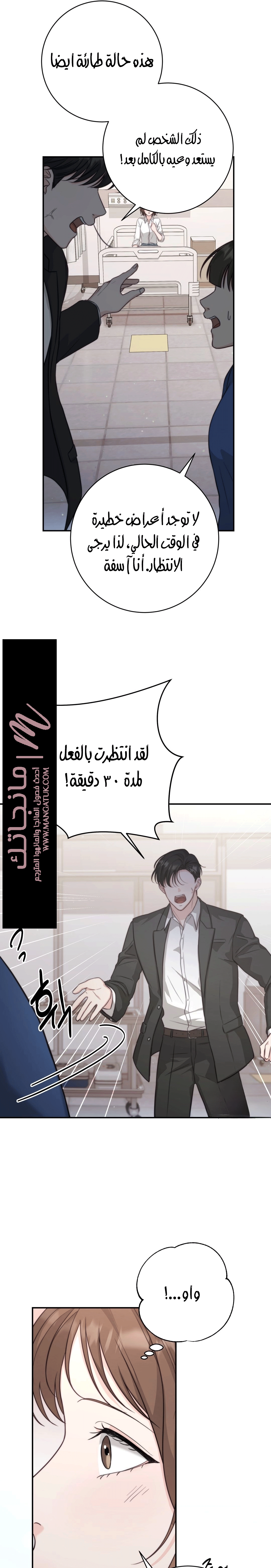 الصفحة 13