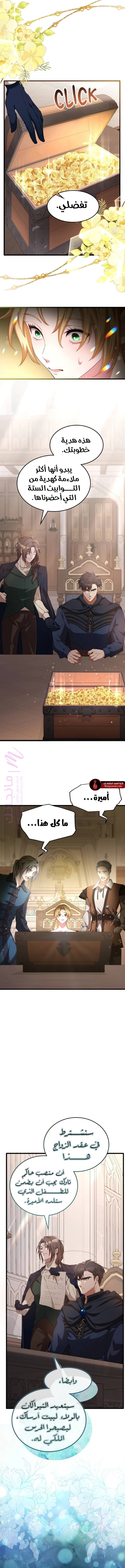 الصفحة 10