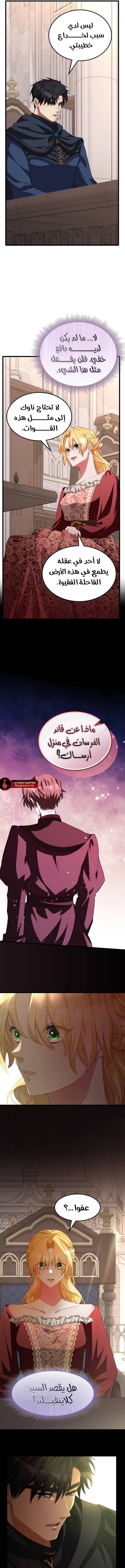 الصفحة 13