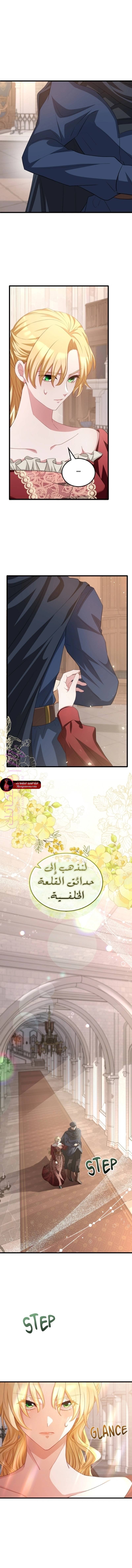 الصفحة 16