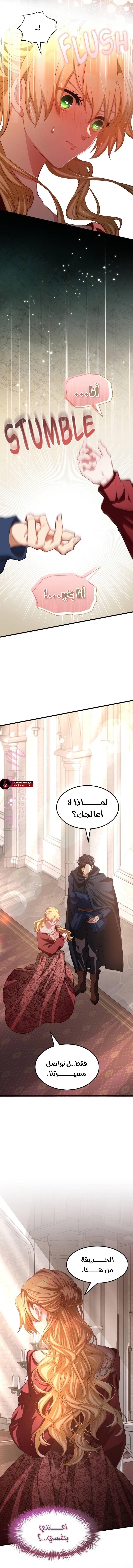 الصفحة 20