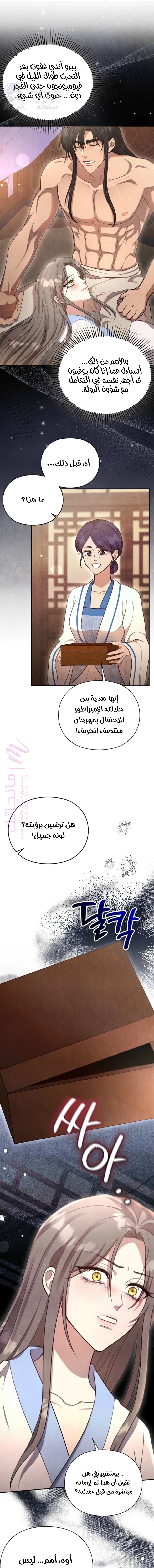 الصفحة 13