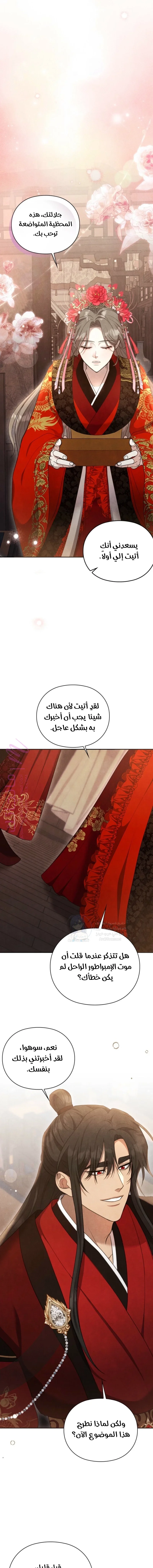 الصفحة 17