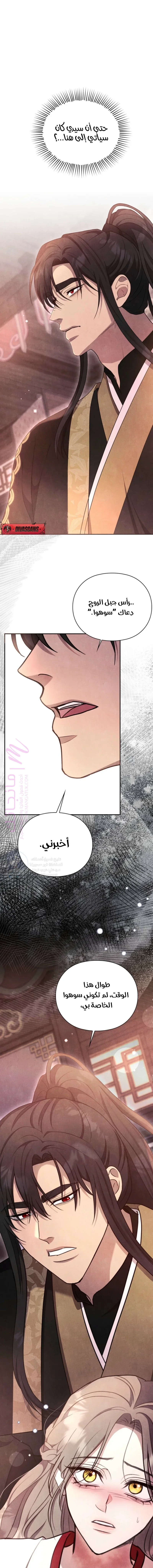 الصفحة 19