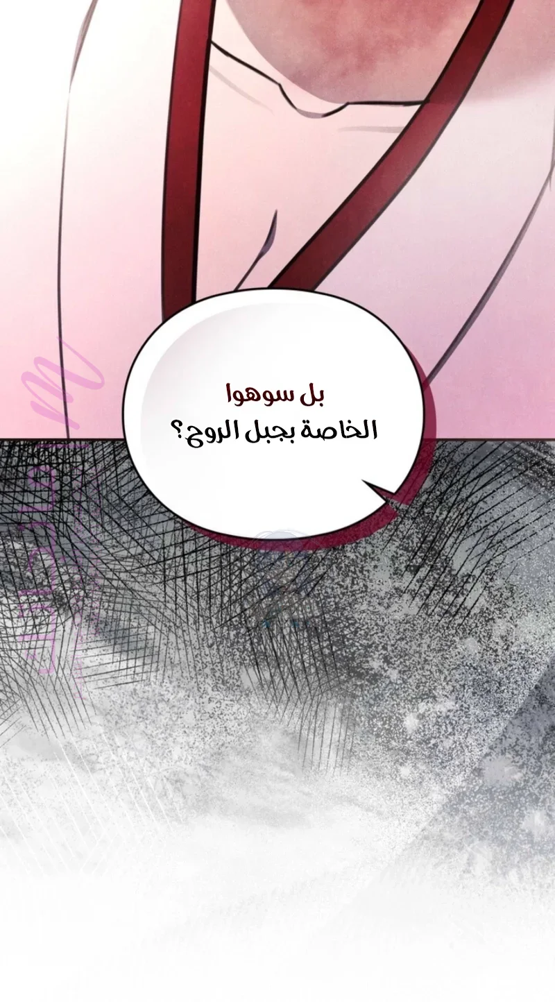 الصفحة 20