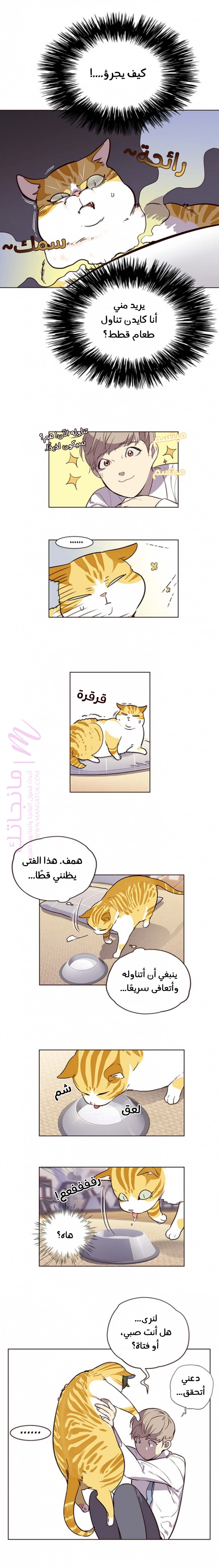 الصفحة 13