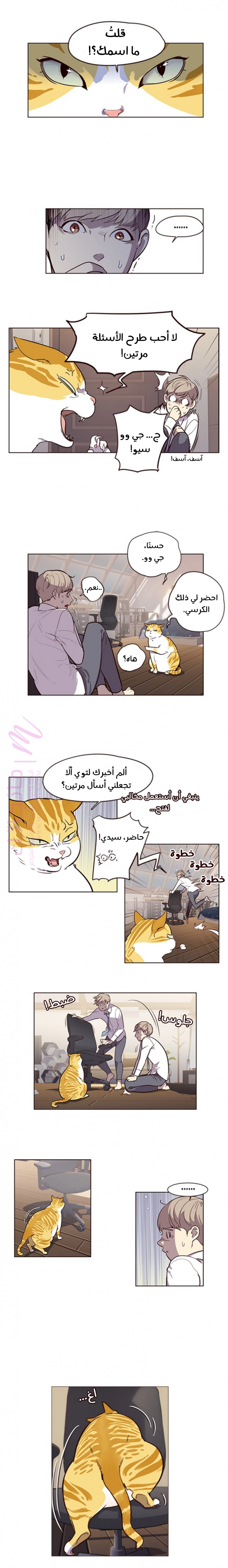 الصفحة 15
