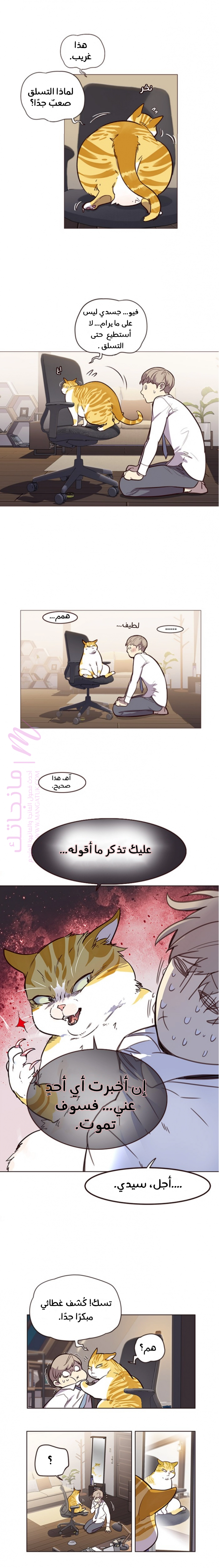 الصفحة 16