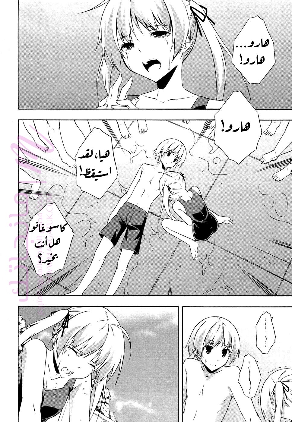 الصفحة 19