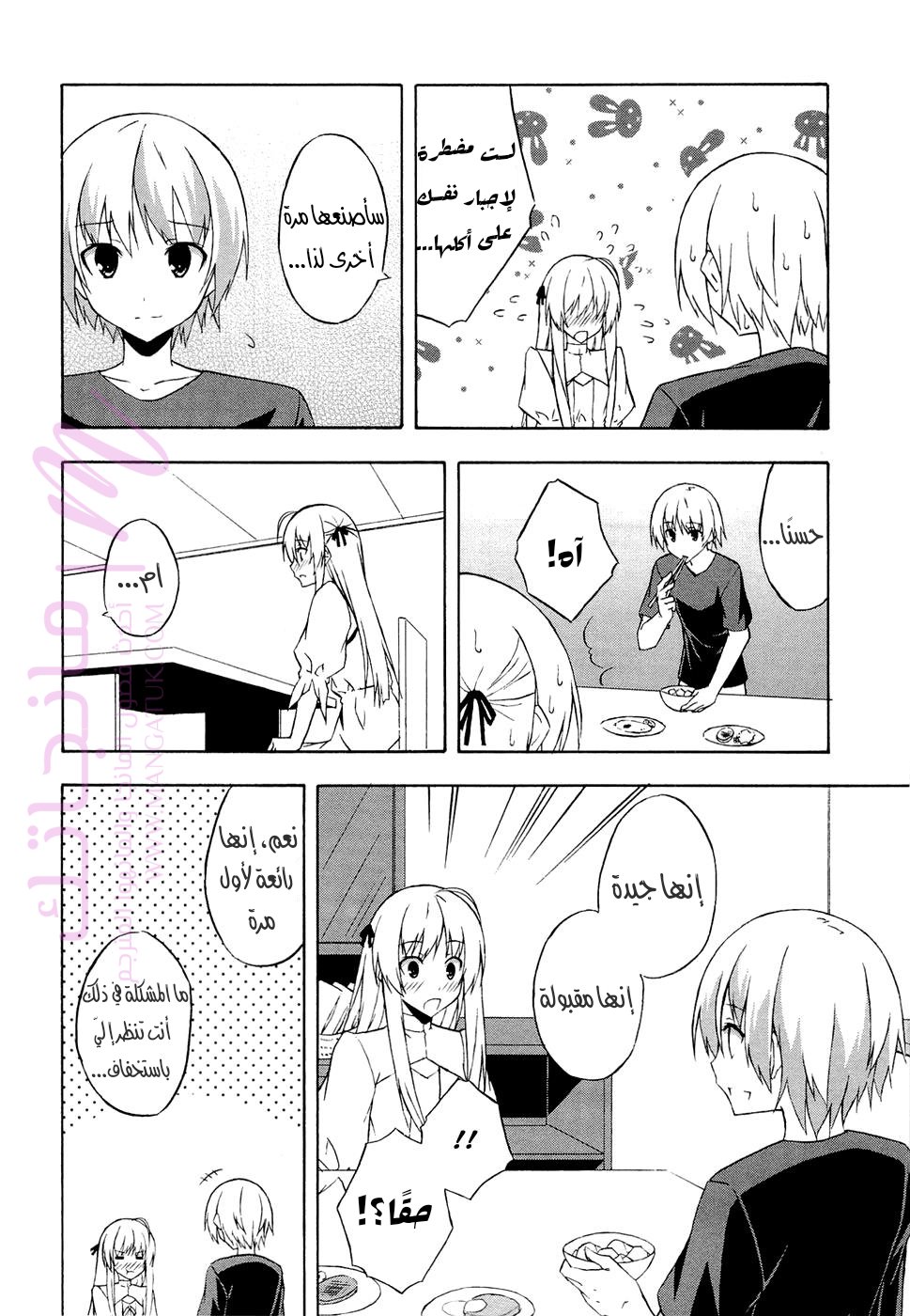 الصفحة 20