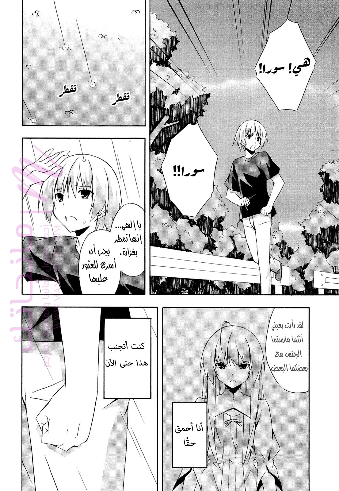 الصفحة 20