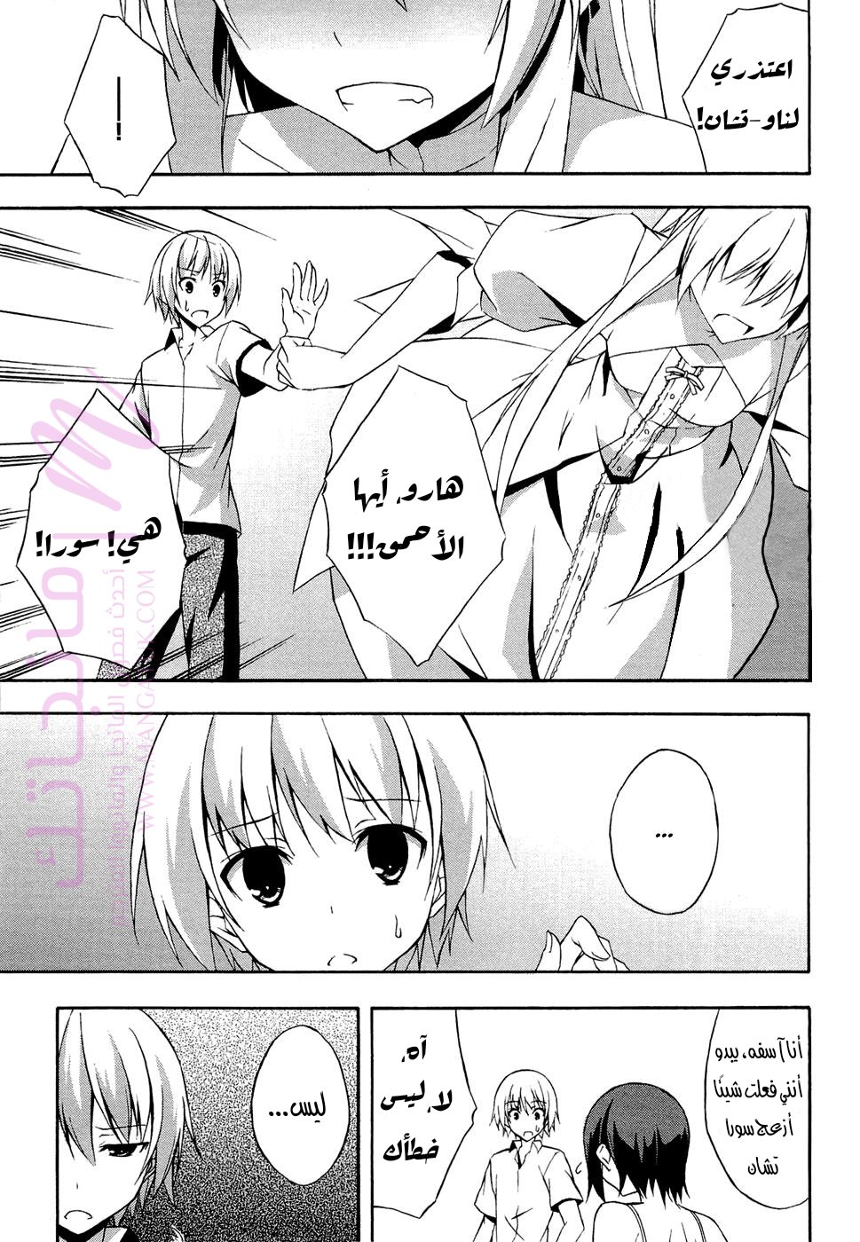 الصفحة 29