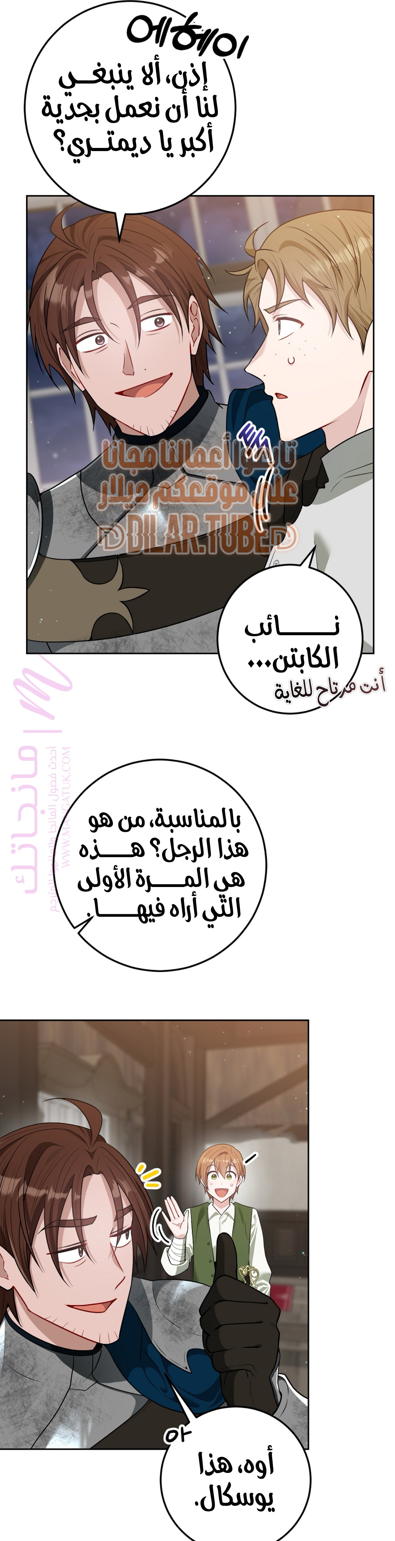 الصفحة 17