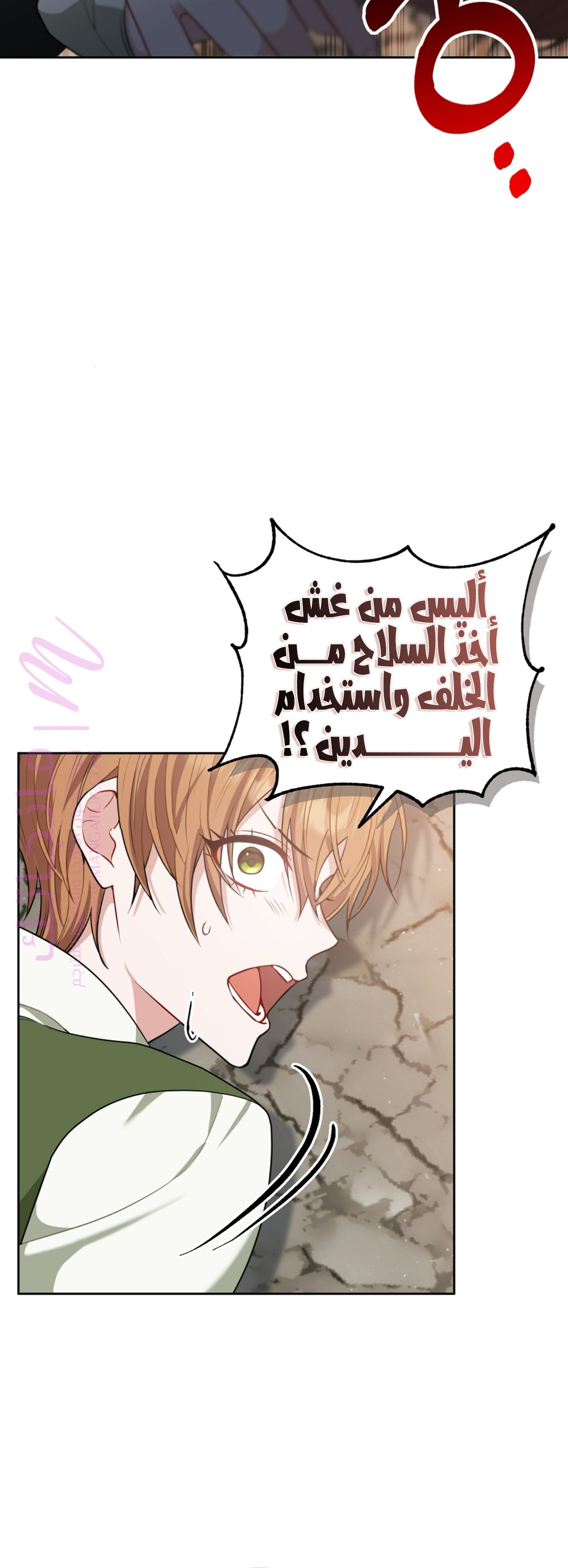 الصفحة 43