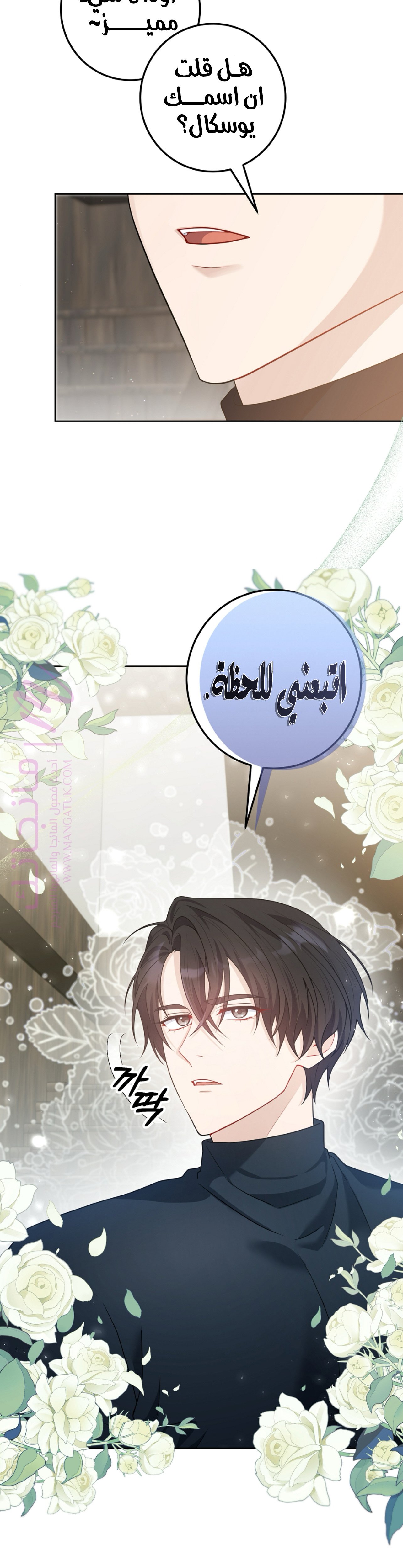 الصفحة 54