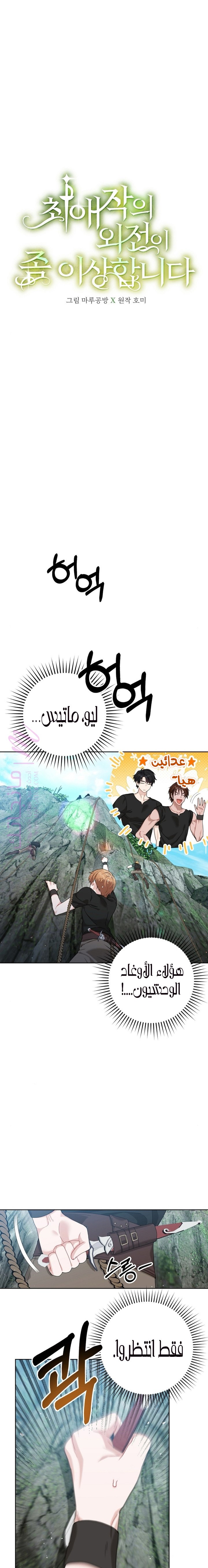 الصفحة 22