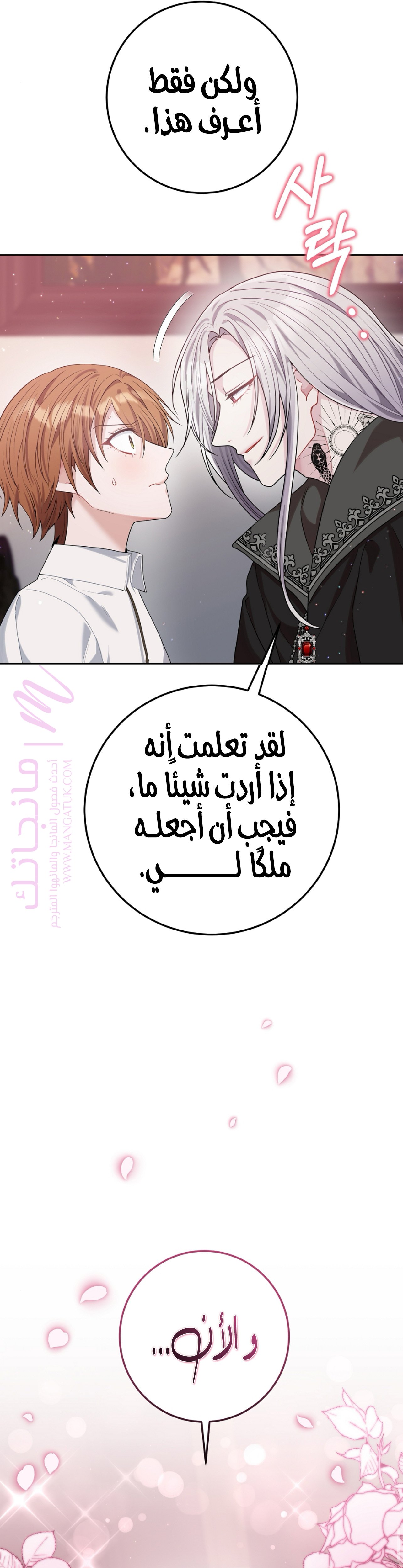 الصفحة 17