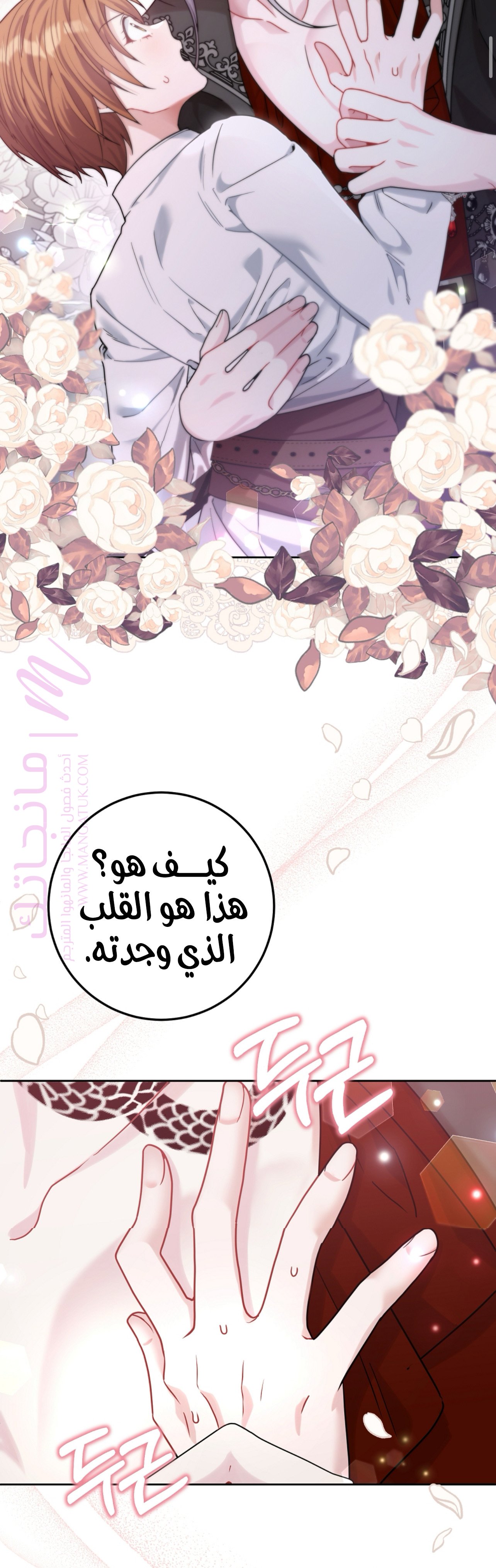 الصفحة 22