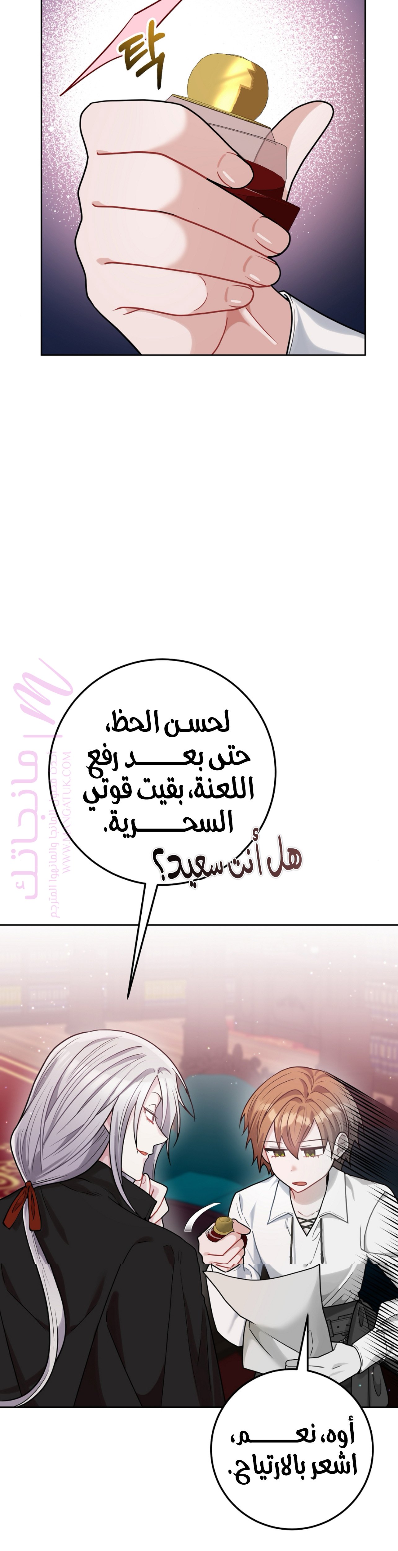 الصفحة 30