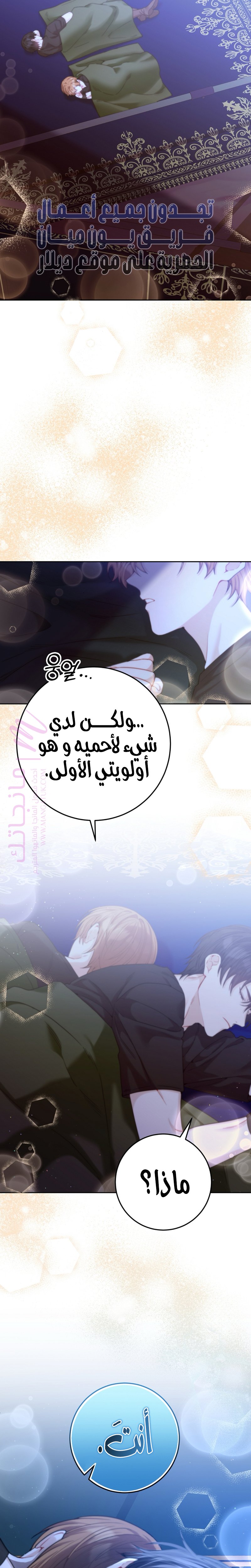 الصفحة 27