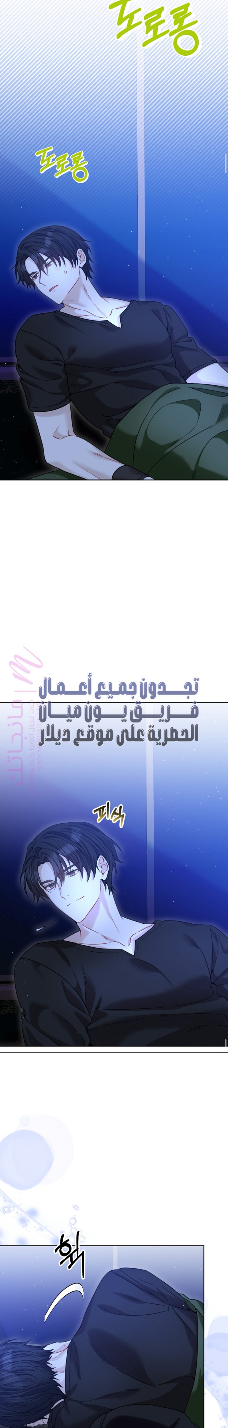الصفحة 30