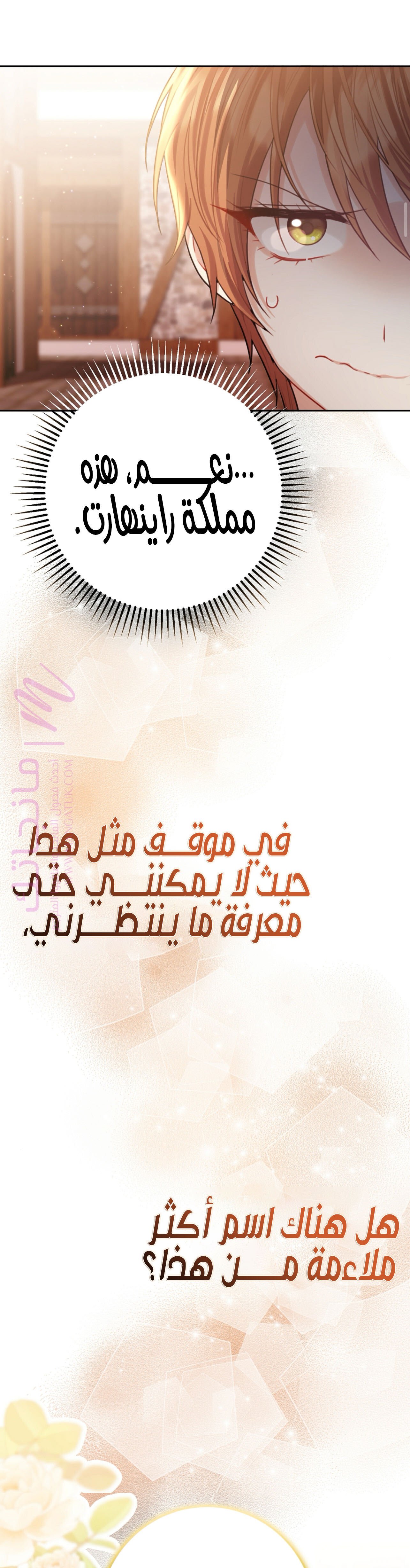 الصفحة 22
