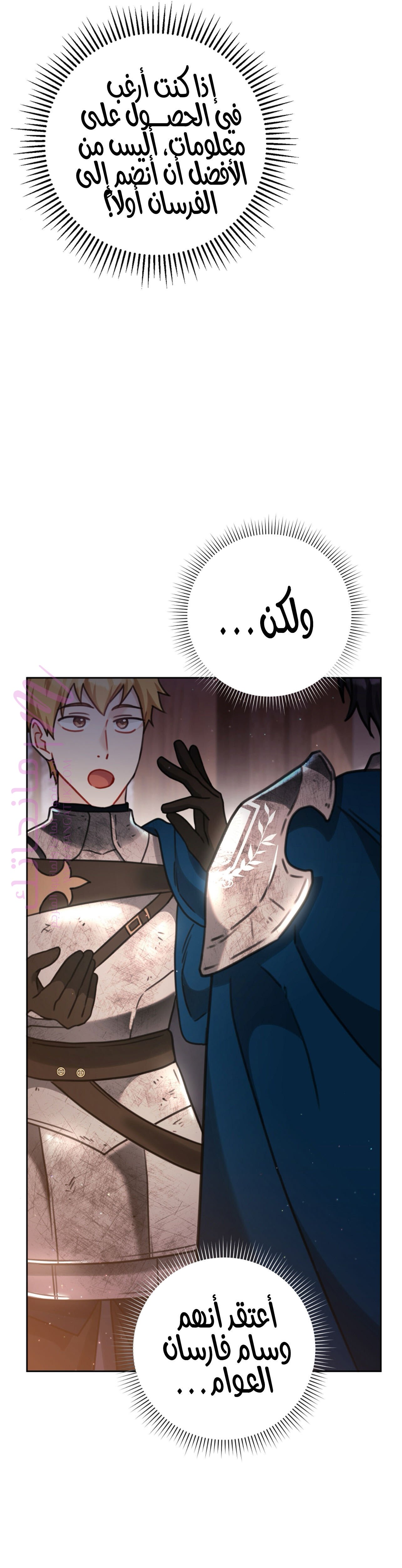 الصفحة 29