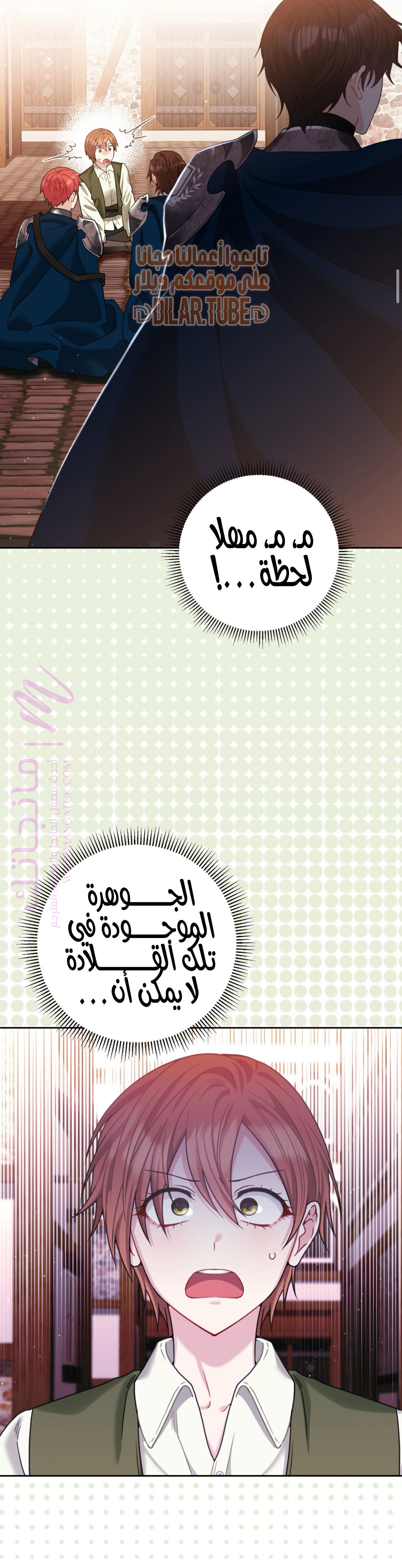 الصفحة 33
