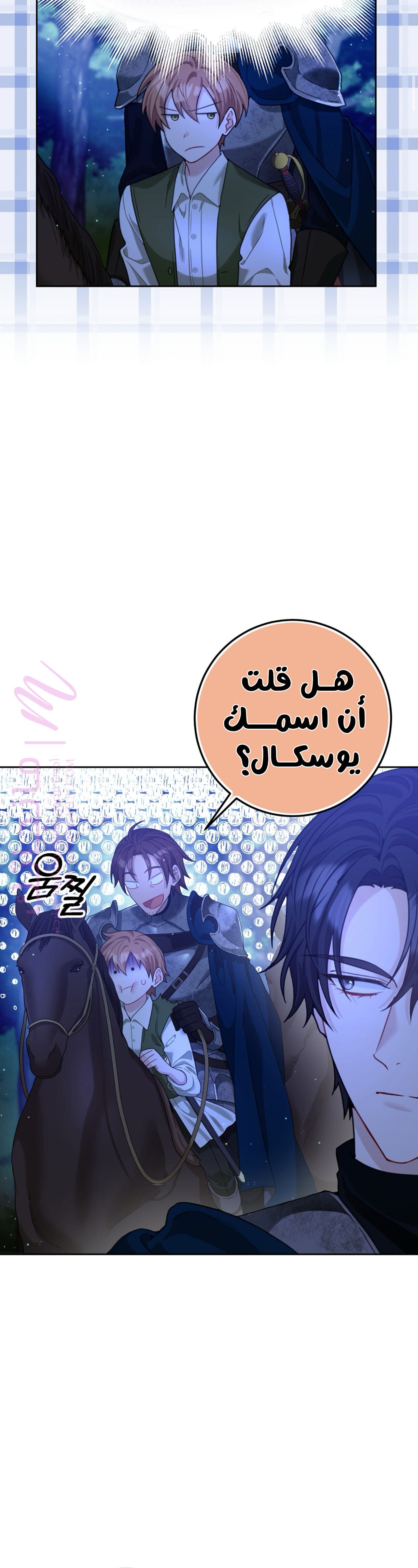 الصفحة 43