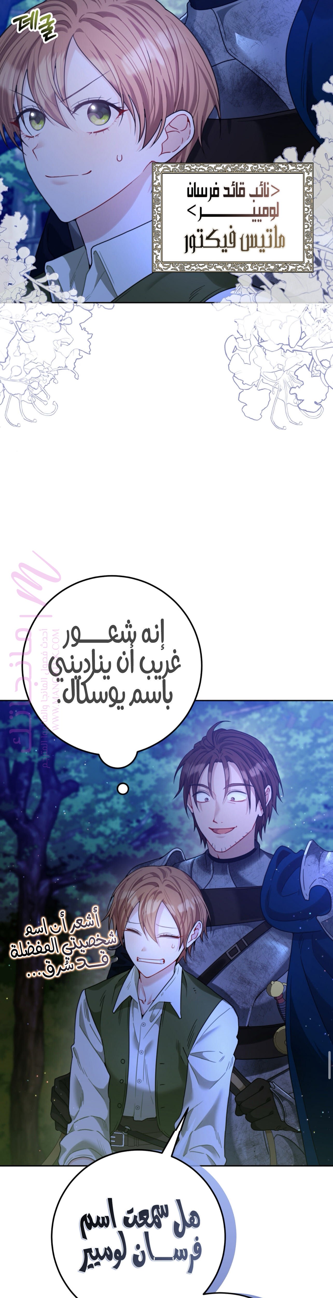 الصفحة 45