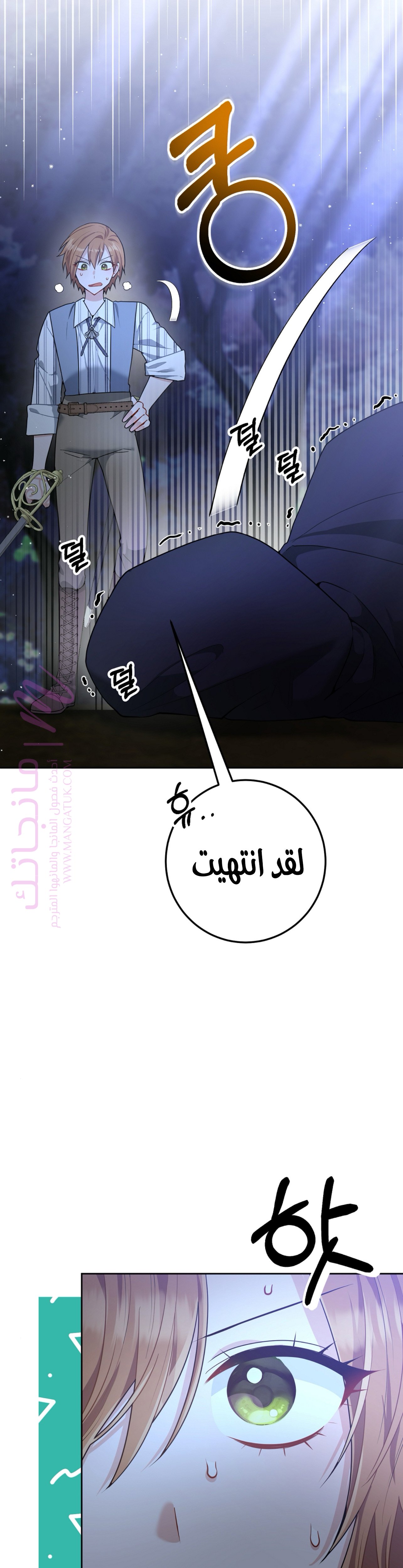 الصفحة 26