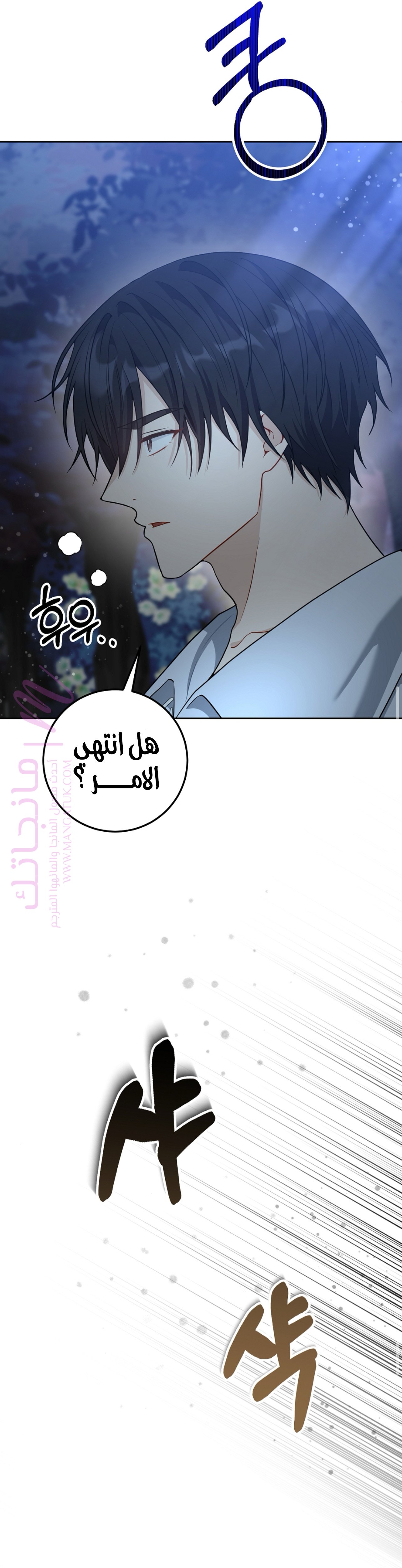 الصفحة 29