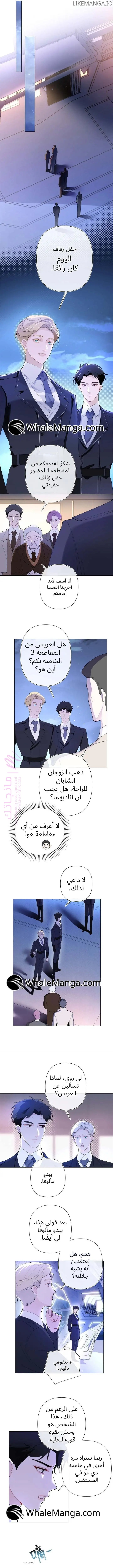 الصفحة 2