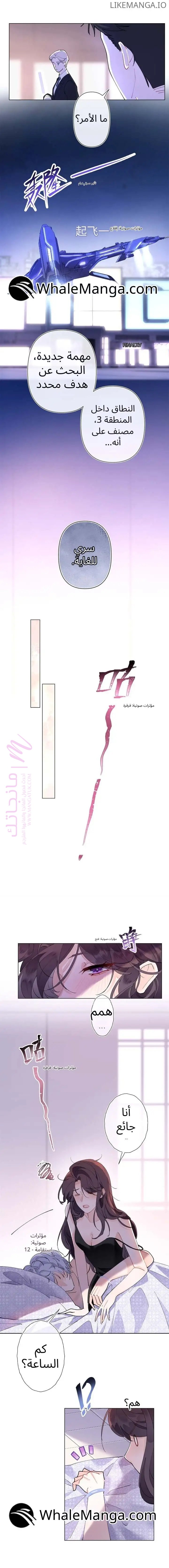 الصفحة 3