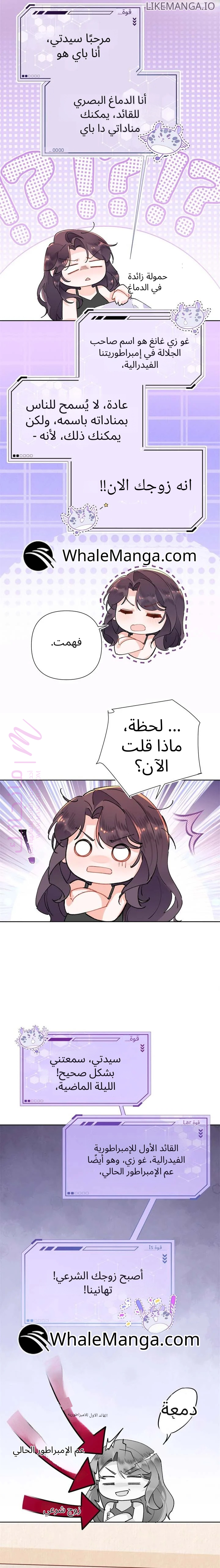 الصفحة 5