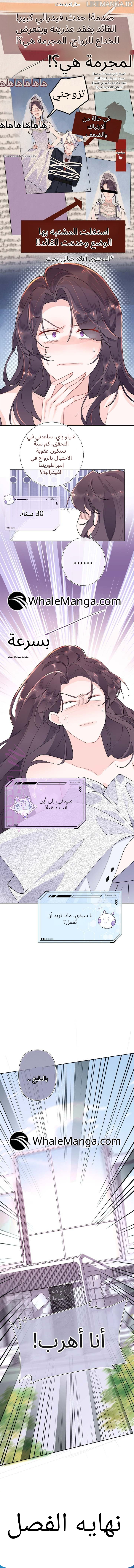 الصفحة 6