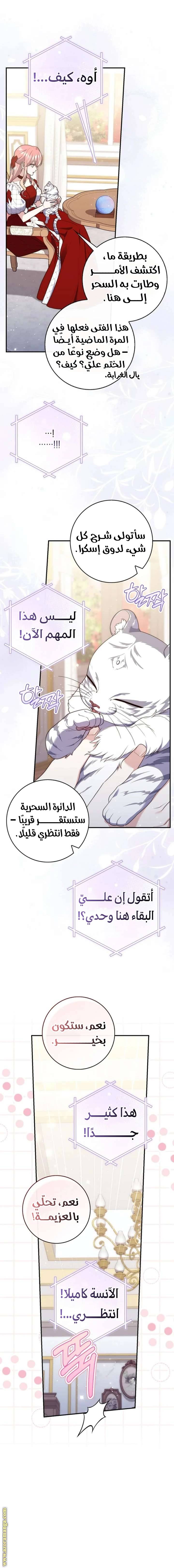 الصفحة 8
