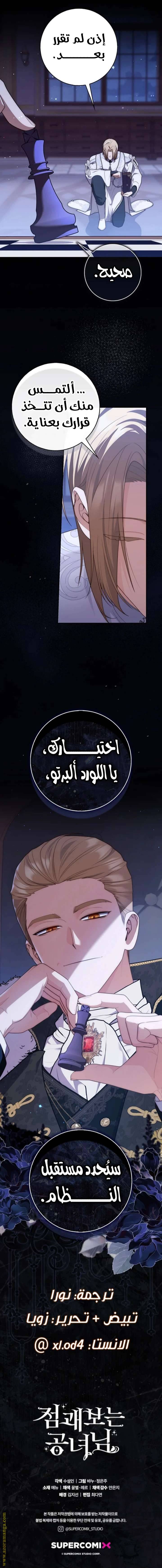 الصفحة 13
