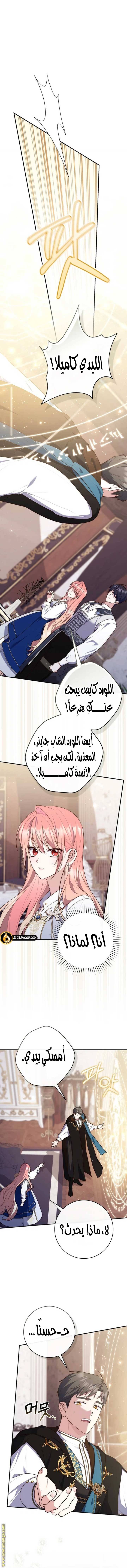 الصفحة 11