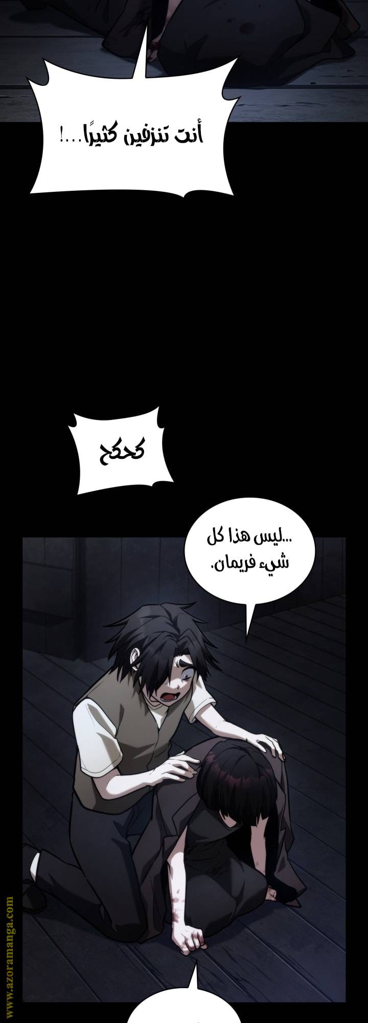 الصفحة 13