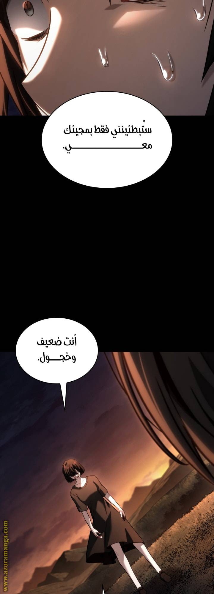 الصفحة 29